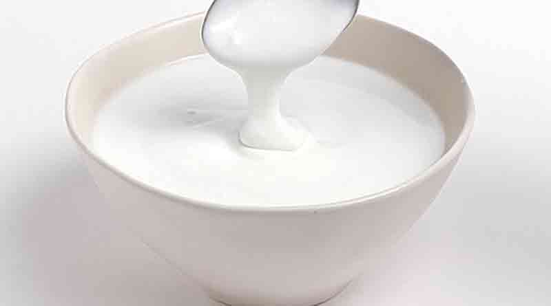 yogurt