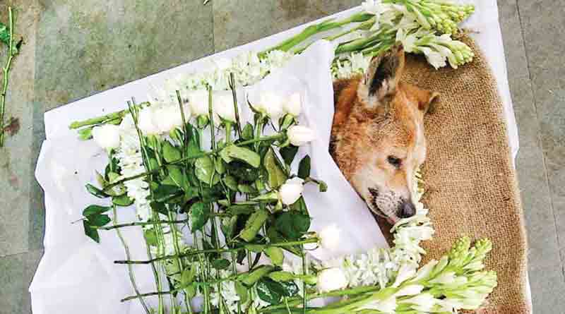 'Don' of Jadavpur University dies 