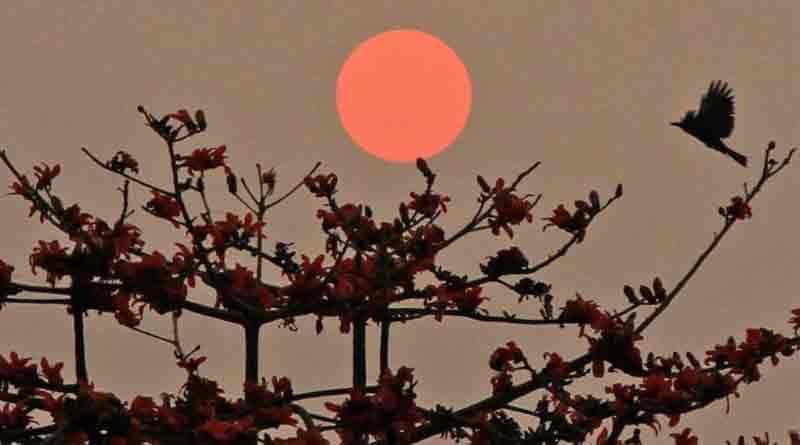West Bengal welcomes spring