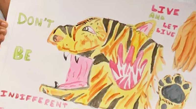 drawing