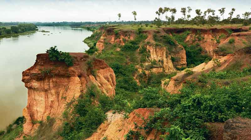 Seeking relief from stress, take a tour of incredible Gangani