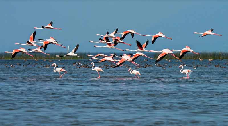 Cyclone Fani’s fury creates four new mouths in Chilika Lake