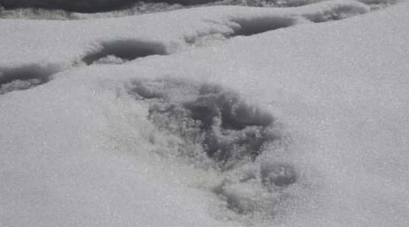 yeti footprint