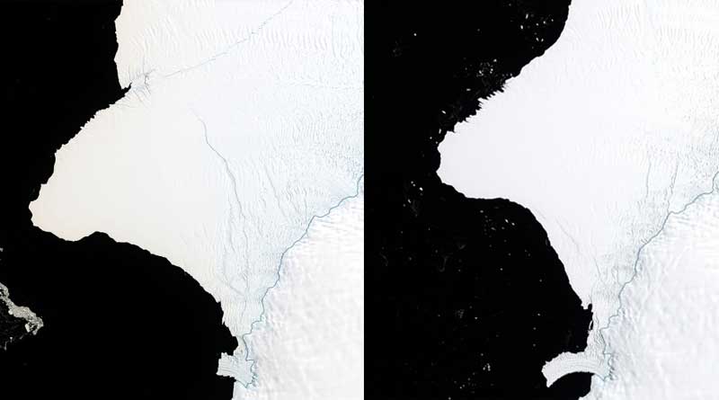 Arctic region