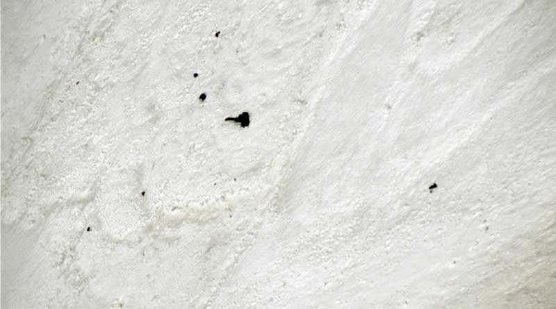 Bodies Spotted In Search For 8 Missing Climbers In Nanda Devi: Report