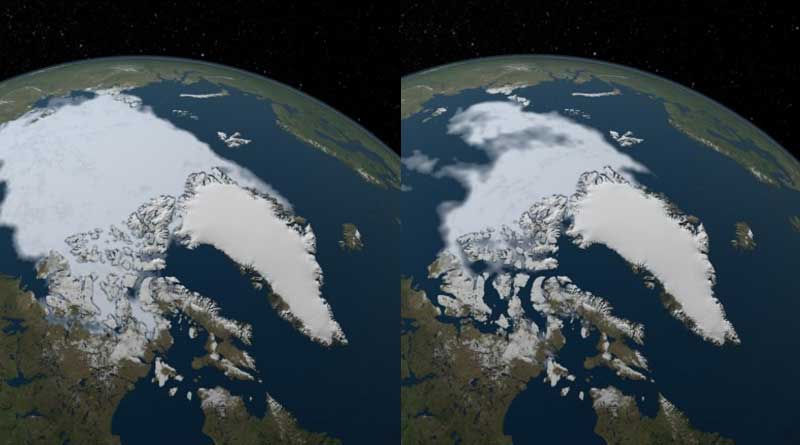 arctic
