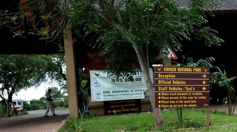 krugar-national-park