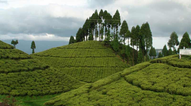 Mirik is under complete lockdown for next one week as corona infection rises