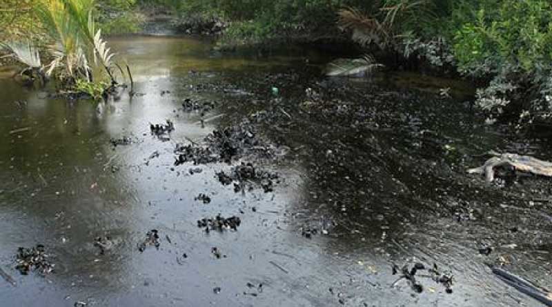 Bangladesh decides to dig pond at Sundarban area