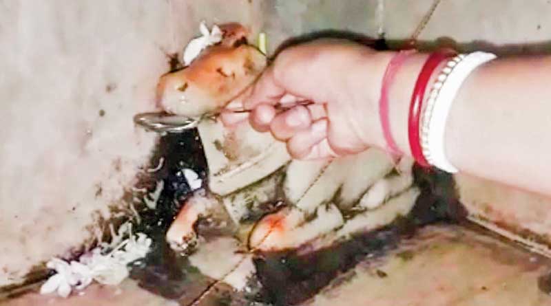 Lord Shiva's bull Nandi 'drinks' water in a temple at Purulia