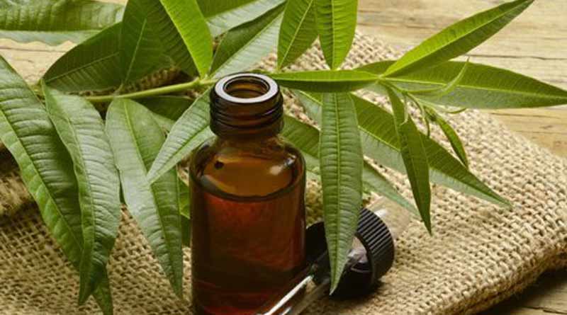 Tea tree oil