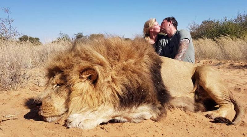 Photo Of Couple Kissing Next To Hunted Lion Causes Outrage