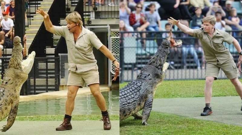 Same scene after 15 years,Steve Irwin's son Robert feeds the same croco