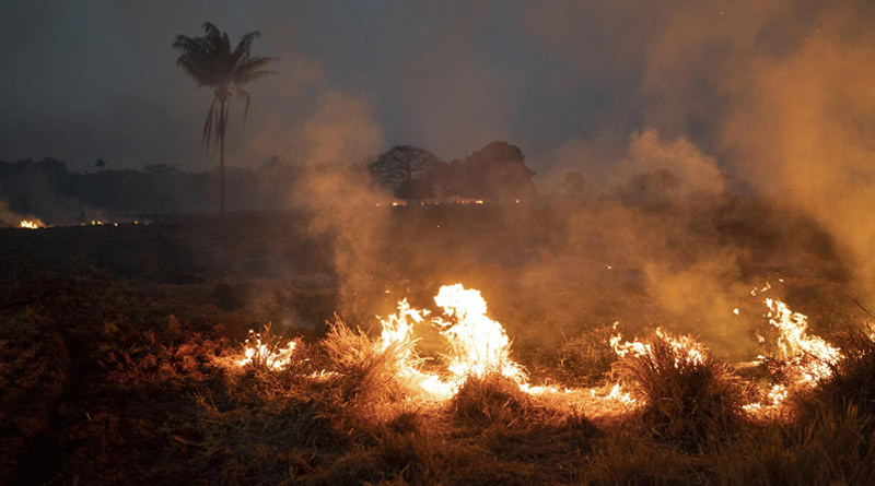 Brazil sends army to Amazon to help firefighters combating fire