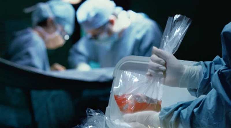 Again deceased organ transplant in Kolkata's Nursing home