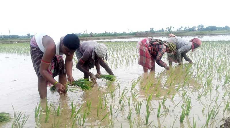 Trinamool Congress MLA reaches out to farmers ahead of polls
