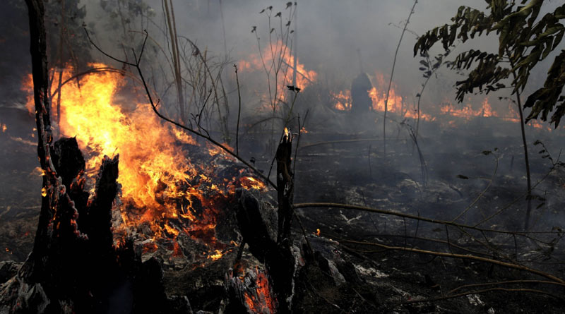 Brazil refuses $22m fund from G7 countries for Amazon
