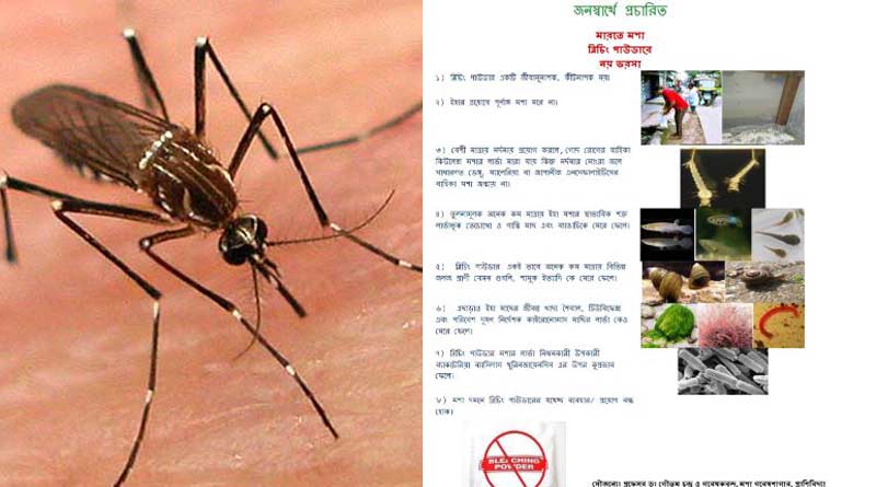 Bleaching powder cannot kill mosquitos larva, says recent research