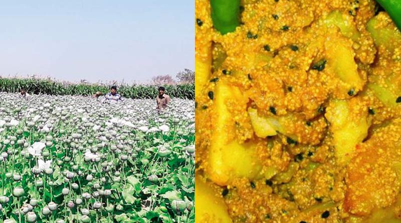 Poppy seeds will cultivated in this state to control price,annouces CM