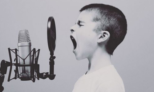 voice-3