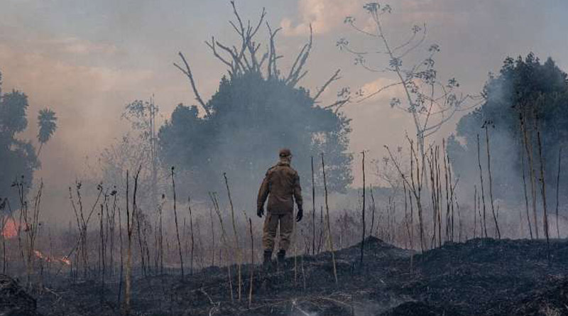 Fire in Amazon forest speading out, more sources recovered by Satelite images