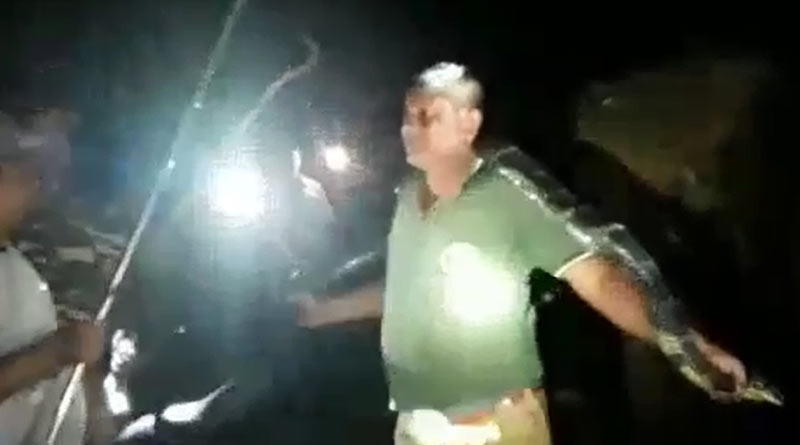 Forest guard recorded video with King Kobra in Alipurduar