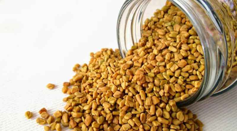To earn more money farmers cutivates fenugreek in Burdwan