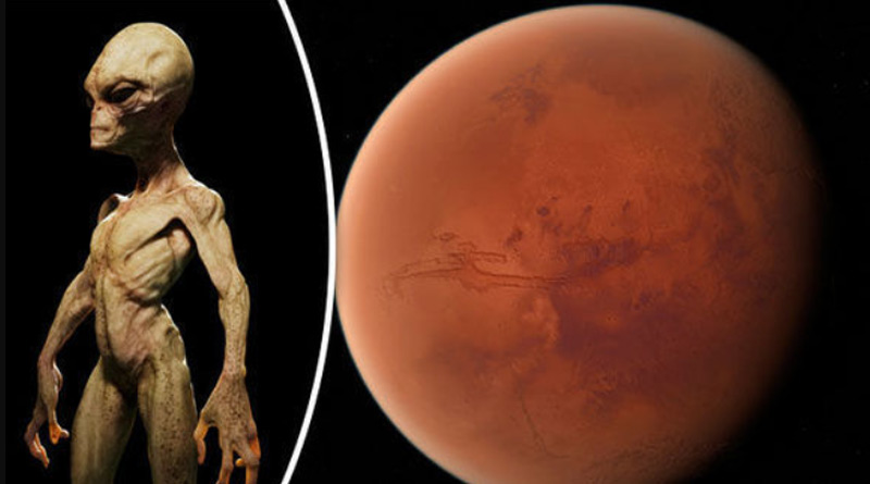 NASA chief scientist predicts new rovers will find life on Mars