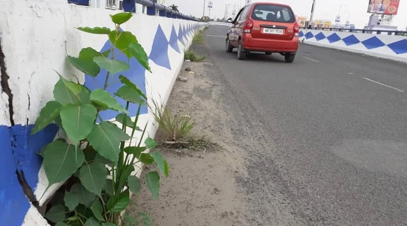 Kamalgazi flyover's condition is deteriorating that sparks concern