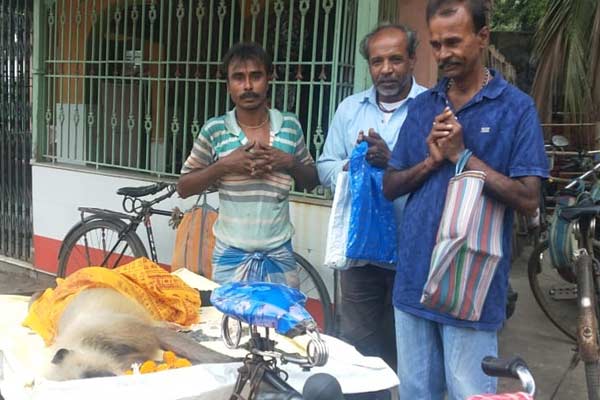 Bongaon-monkey2