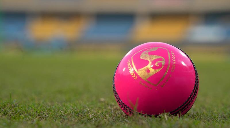 Here is the interesting history and details of pink ball test