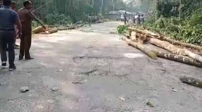 Tress axed for road expansion in Dooars, locals stage protest