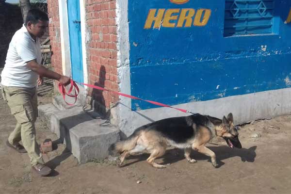 asansol-dog