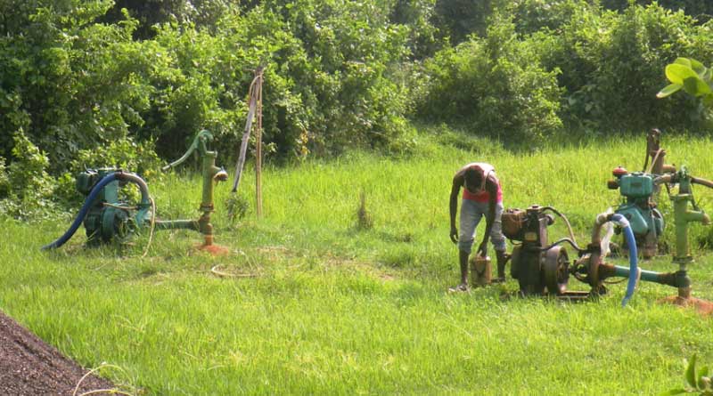 Due to use of submersible pump, layer of underground water decreases
