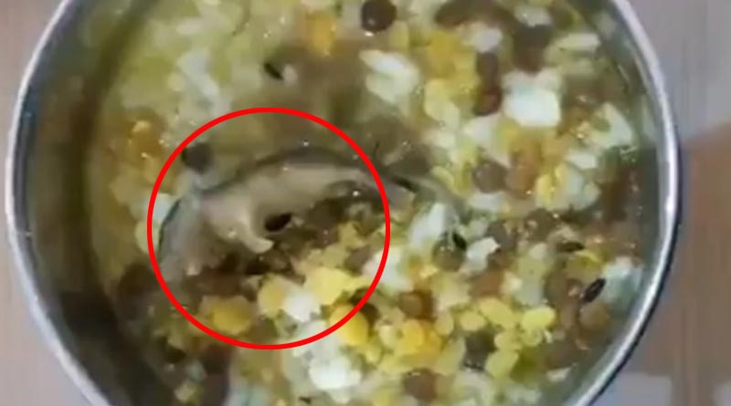 Dead Rat Found in Midday Meal in Muzaffarnagar School in UP
