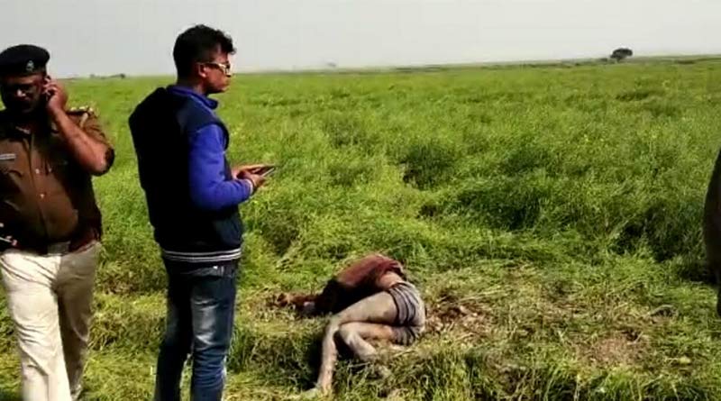 Bangladeshi body