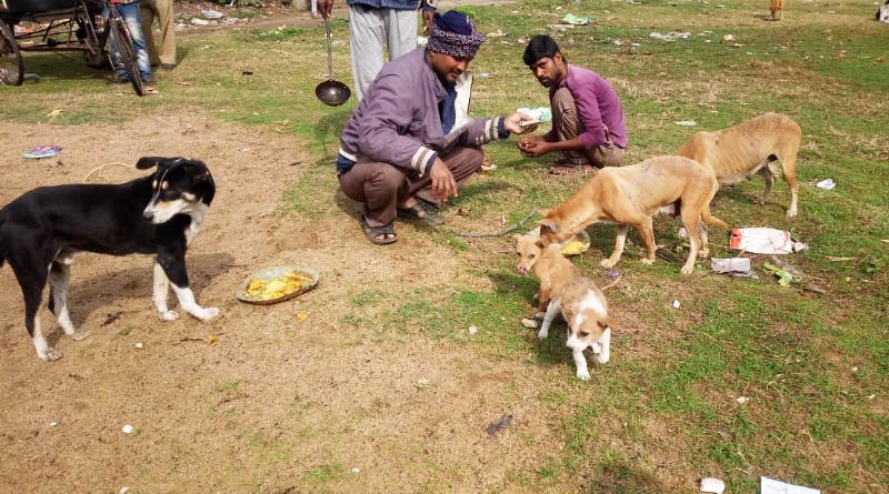 Bankura youth spends earning to feed helpless stray dogs