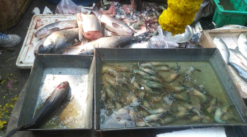 Bandel fish