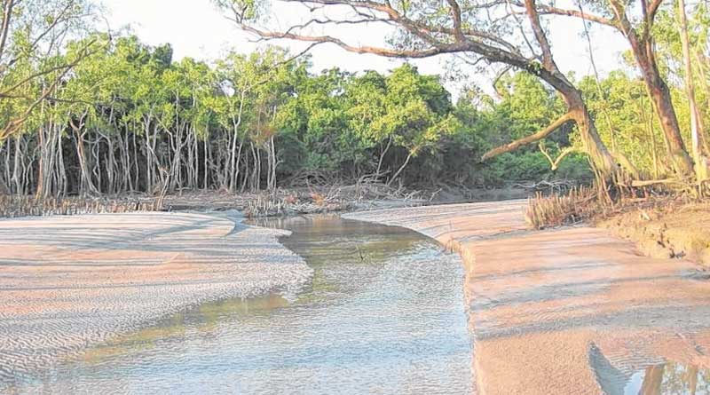 Due to pandemic once again Sunderban tourist spot closed
