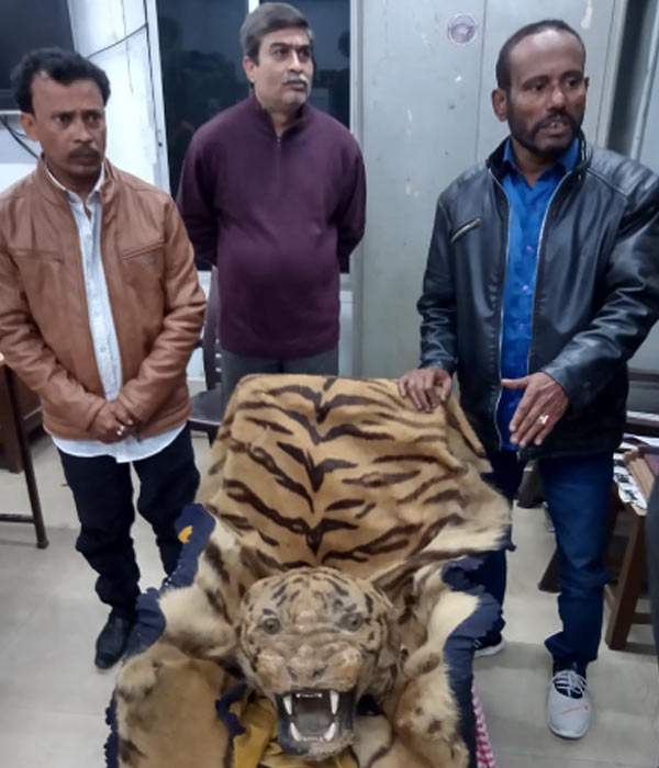 tiger-skin