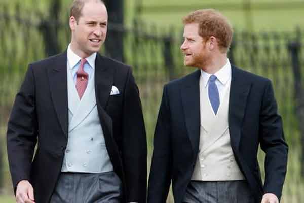william-harry