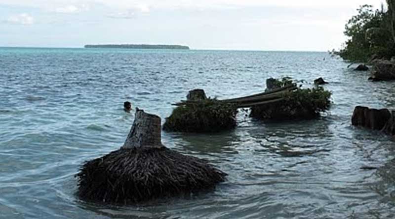 Four survivors spent 32 days at the sea ate coconuts and drank rainwater