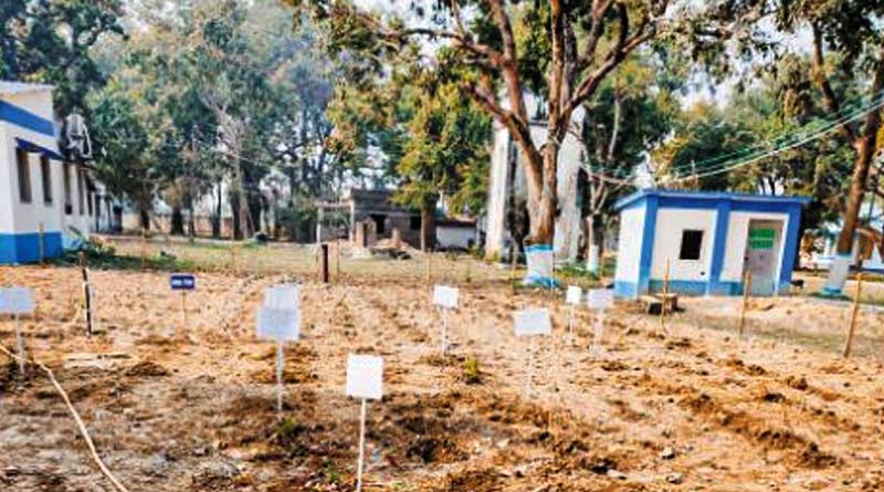 Herbal medicines cultivates in all block hospital of state