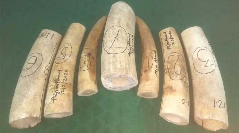 Elephant teeth seized from Gandhidham express at NJP.