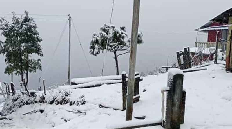 Two tour operators from Ashoknagar go missing at Sandakhphu | Sangbad Pratidin