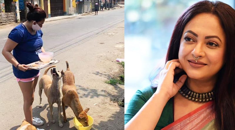 Tollywood actress abused by neighbors for feeding street dogs