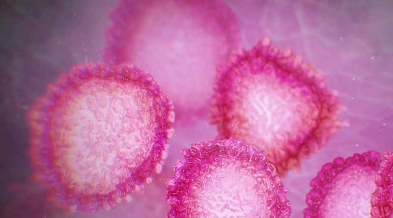 Coronavirus Outbreak: 2 more deaths in India, toll rises to 16