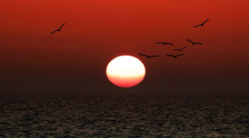 As pollution is getting less, people of Asansol are enjoying nature's beauty