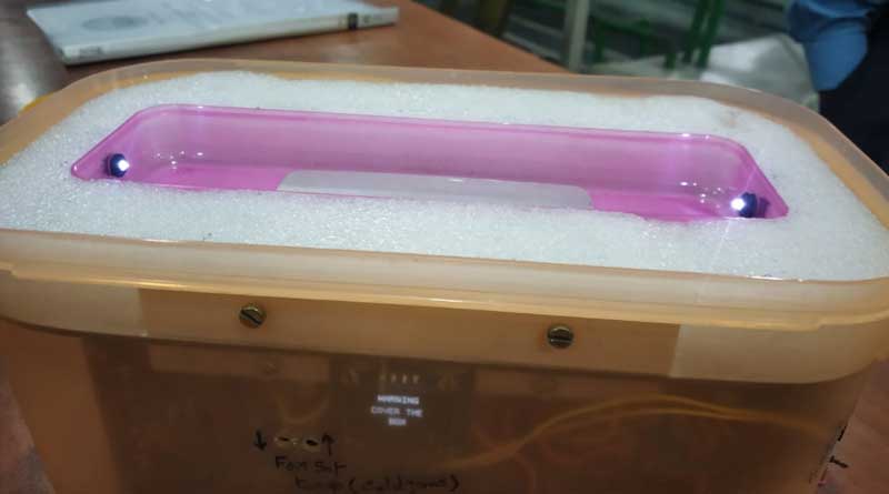 Portable insulin cooler will soon launch in the market for diabetis patients
