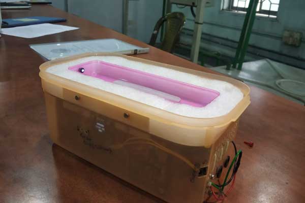 insulin-cooler1